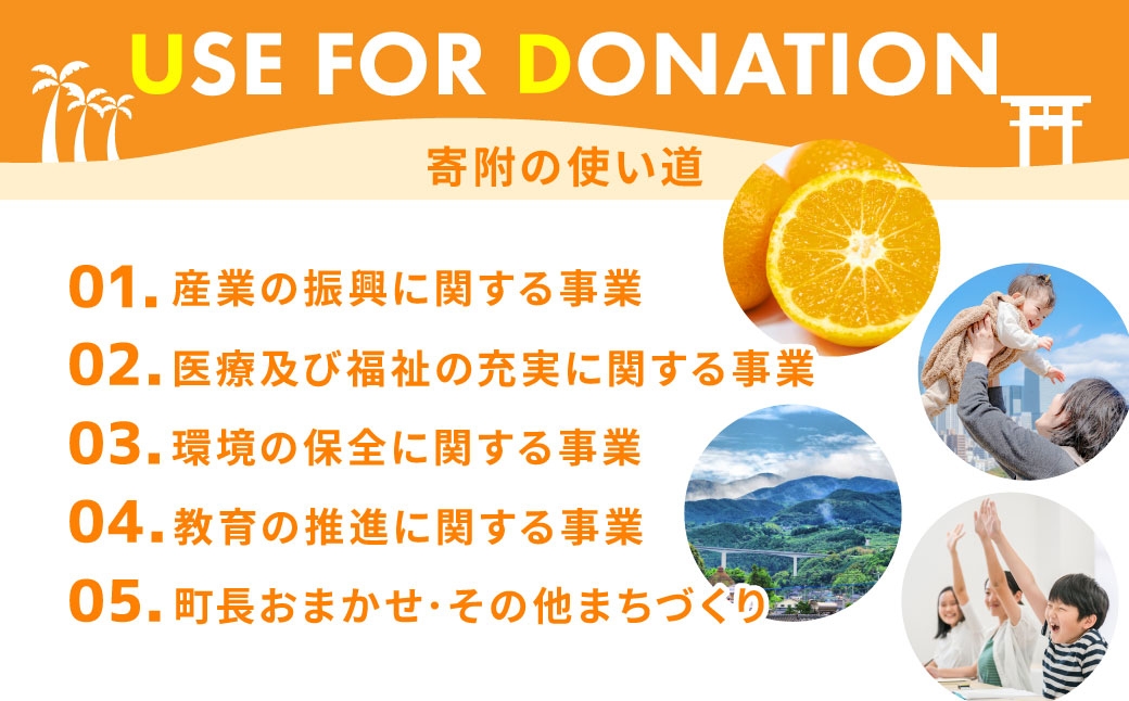 佐賀県太良町産 ～ 牟田農園の春の新玉ねぎ 5kg （ S ）