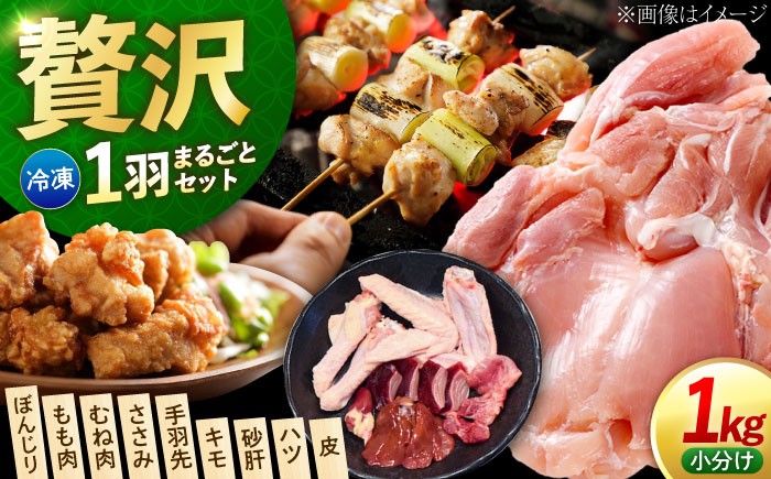 鶏肉 精肉 鳥肉 とり肉 とりにく チキン 鳥 もも むね モモ ムネ 若鶏