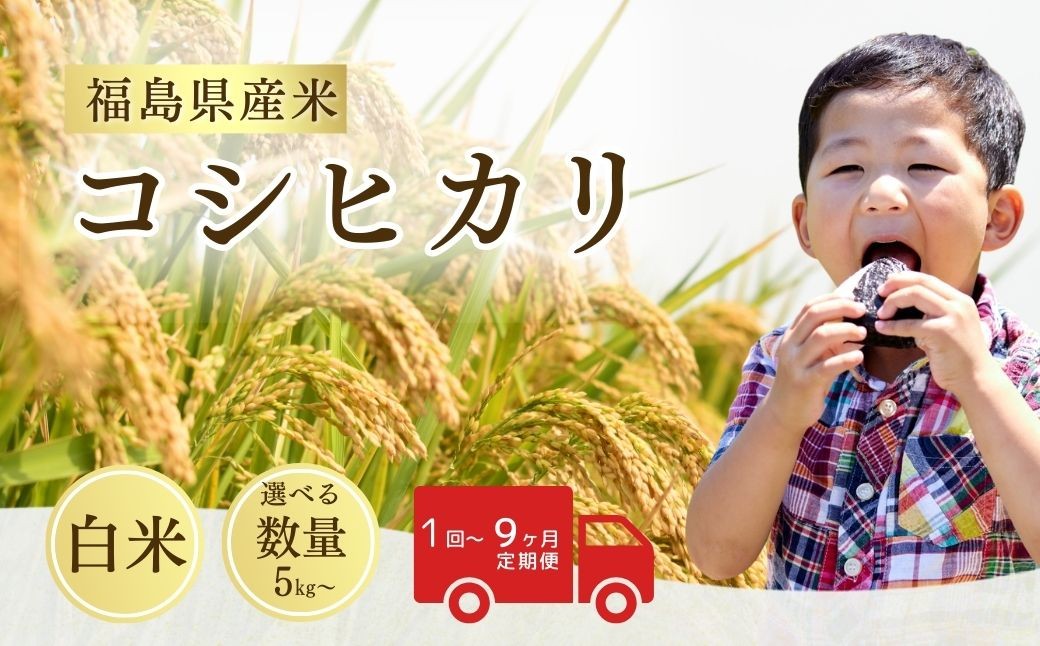 令和8年産 先行予約 コシヒカリ 白米 選べる数量・回数 5kg - 45kg 1回 - 9回 / 単品・定期便 | こしひかり