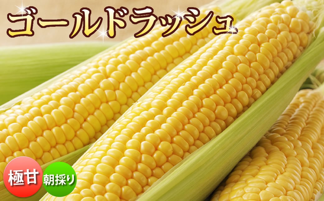 とうもろこし ゴールドラッシュ