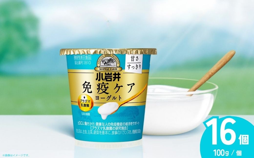 ヨーグルト 免疫ケアヨーグルト甘さすっきり 100g×16個 | ヨーグルト よーぐると ヨーグルト よーぐると ヨーグルト