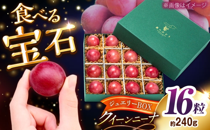 ぶどう ブドウ 葡萄 果物 クイーンニーナ ギフト 贈答用 大粒 産地直送