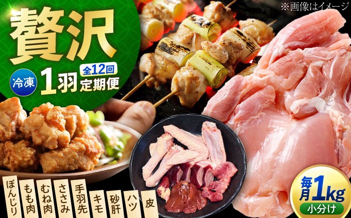 鶏肉 精肉 鳥肉 とり肉 とりにく チキン 鳥 もも むね モモ ムネ 若鶏