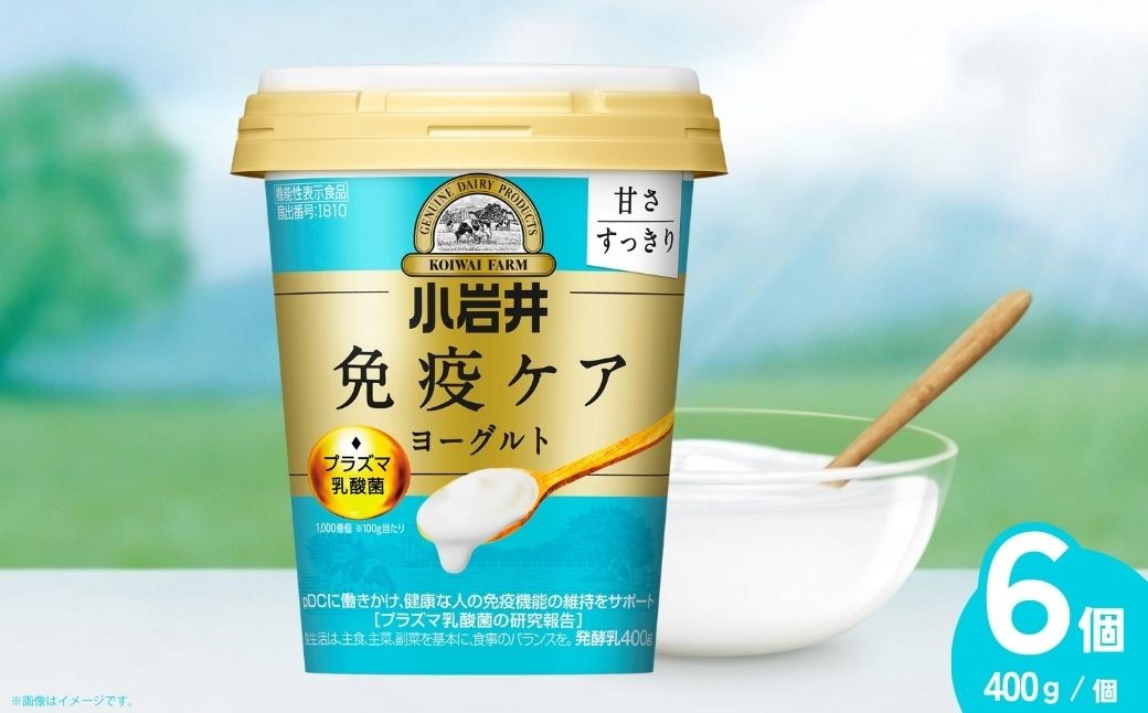 ヨーグルト 免疫ケアヨーグルト甘さすっきり 400g×6個 | ヨーグルト よーぐると ヨーグルト よーぐると ヨーグルト