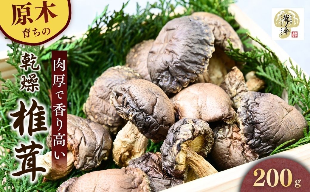 しいたけ シイタケ 乾しいたけ 干ししいたけ 干し椎茸 干しシイタケ 200g 龍ノ傘
