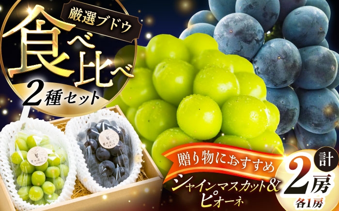 ぶどう 葡萄 果物 シャインマスカット ピオーネ マスカット 贈答用 食べ比べ