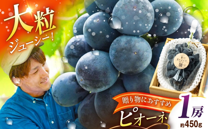 ぶどう ブドウ 葡萄 果物 ピオーネ ギフト 贈答用 大粒  おいしい 産地直送