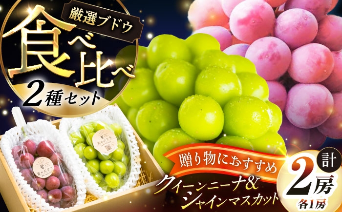 ぶどう 葡萄 果物 シャインマスカット クイーンニーナ  贈答用 食べ比べ 2種
