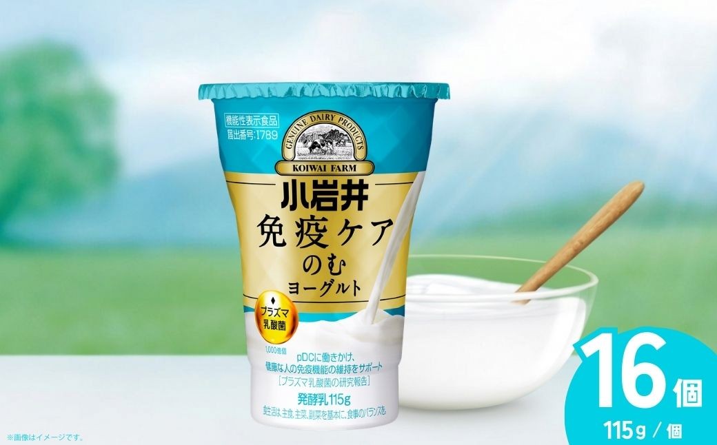 のむヨーグルト 免疫ケアのむヨーグルト 小岩井乳業 115g×16個 | のむヨーグルト のむよーぐると 飲むヨーグルト
