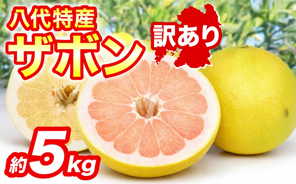 【訳あり】 八代ザボン (赤肉または白肉) 約5kg (3～6玉) 