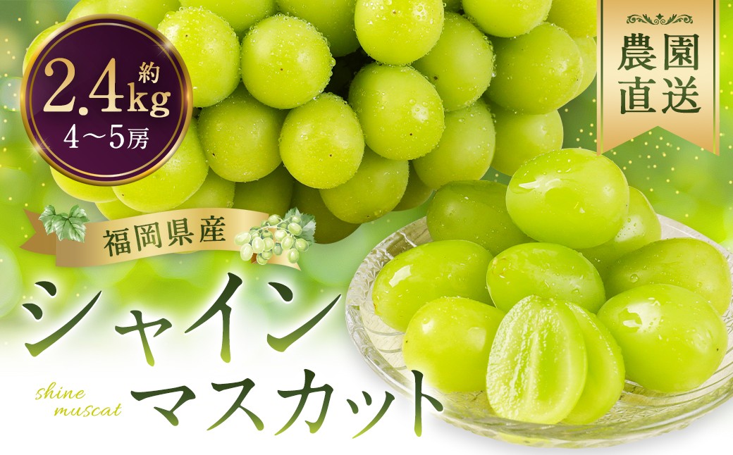 シャインマスカット 農園直送｜収穫当日発送・アフター保証 約2.4kg（4〜5房）【2026年9月上旬～10月上旬発送予定】