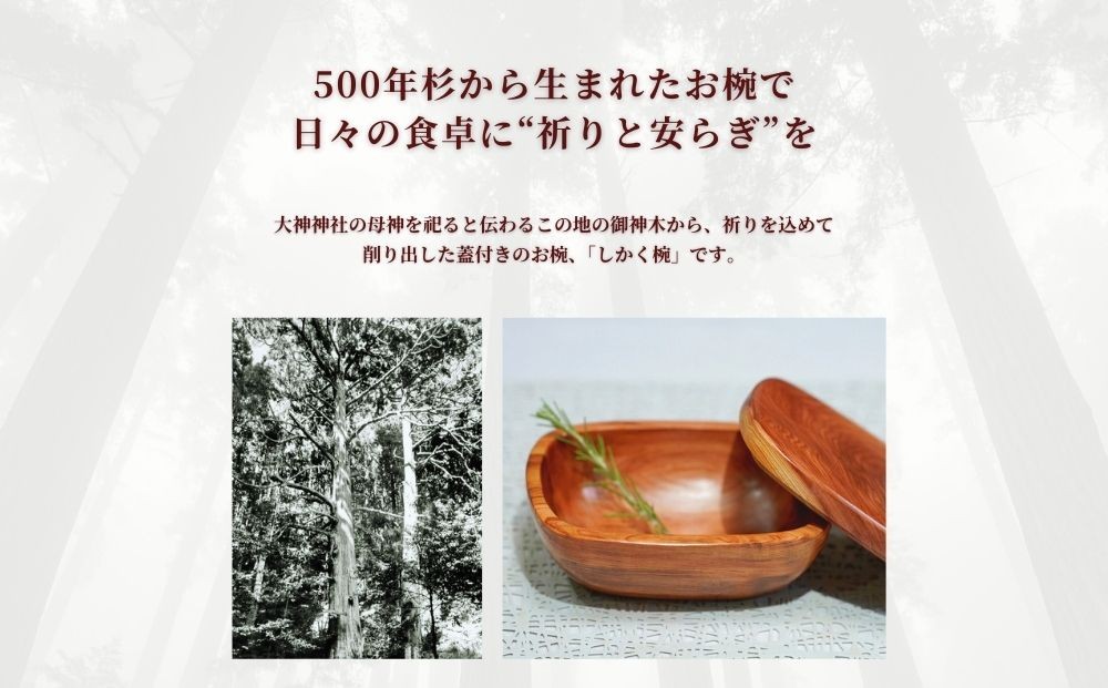 イメージ写真です。