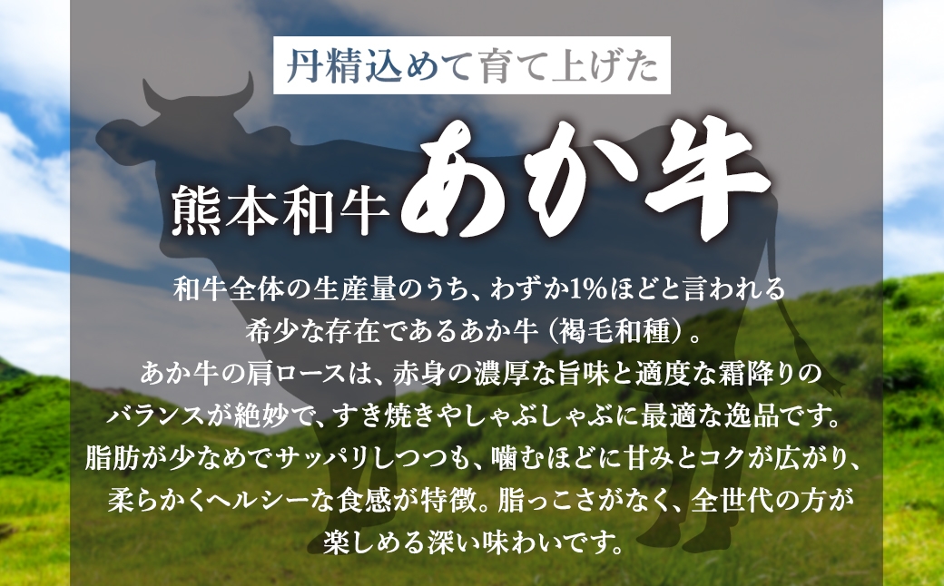 熊本県産和牛 あか牛 肩ロース