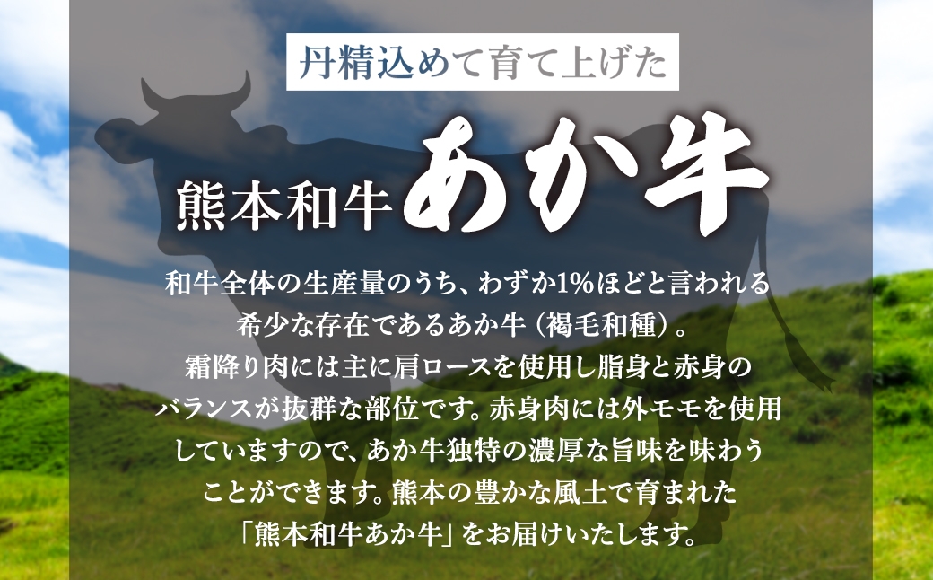熊本県産和牛 あか牛 切り落とし 約1kg（霜降と赤身のお試しセット）