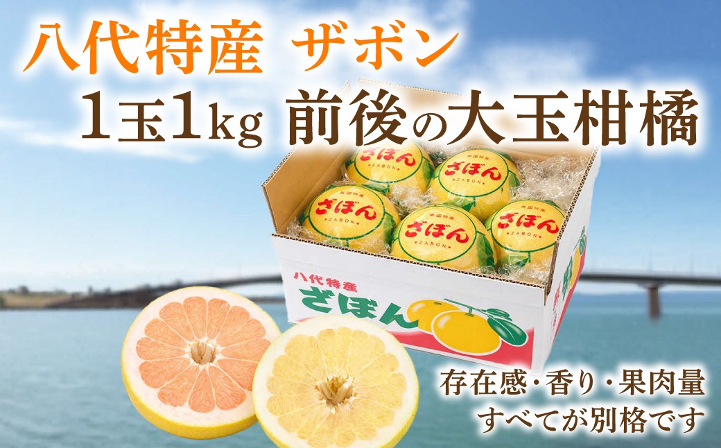 1玉1kg前後の大玉柑橘です。