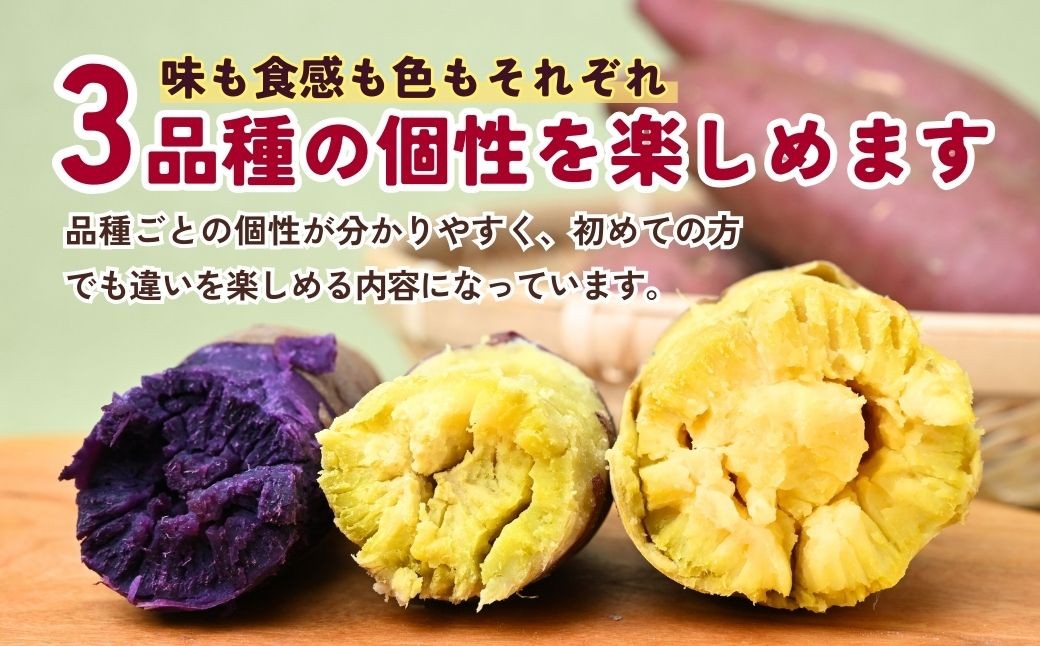 さつまいも サツマイモ さつま芋 焼き芋 食べ比べ 3kg