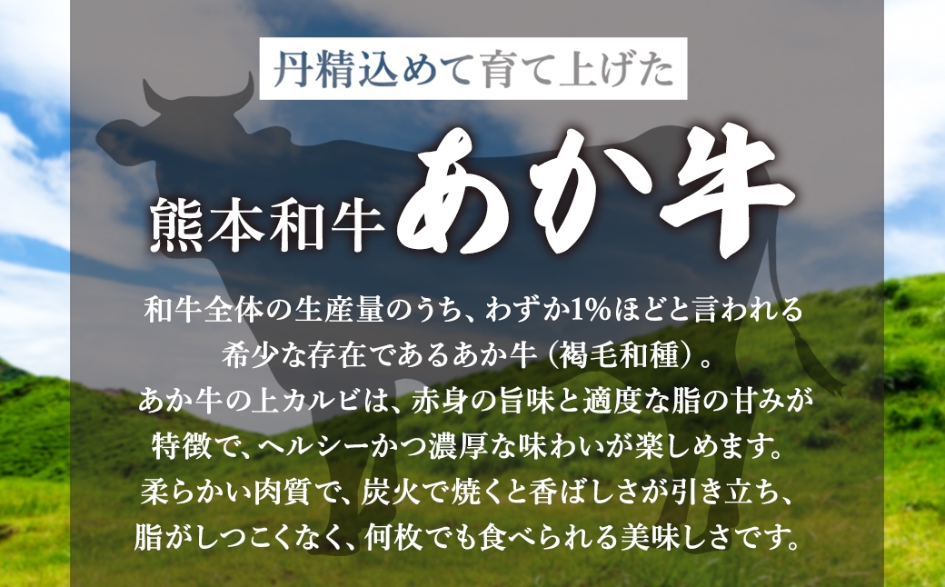 あか牛 上カルビ 約500g