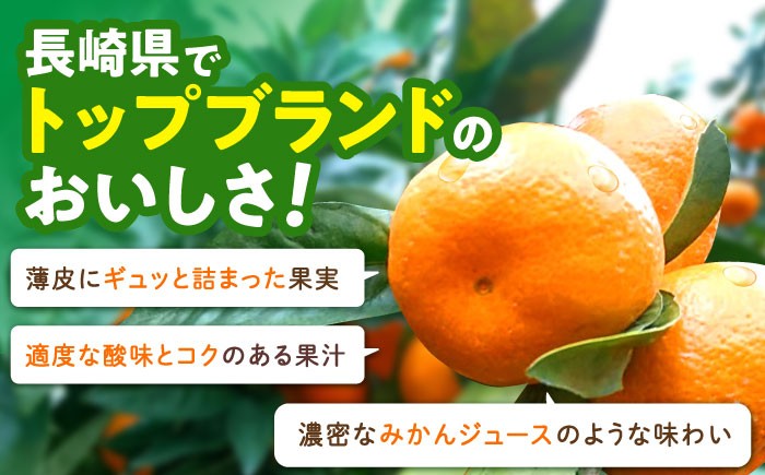 みかん ミカン 蜜柑 みかんジュース フルーツ 果物