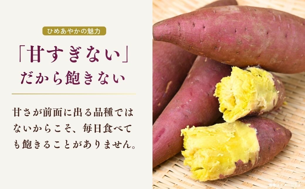さつまいも ひめあやか さつま芋 サツマイモ 甘藷 お芋 おいも 3kg
