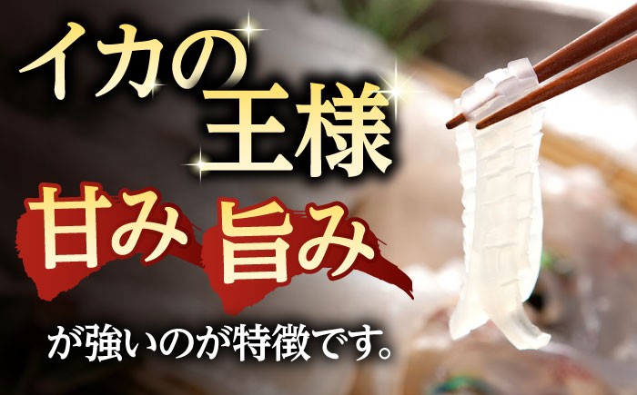 いか イカ 烏賊 新鮮 海鮮 特産品 贈り物 ギフト 魚介