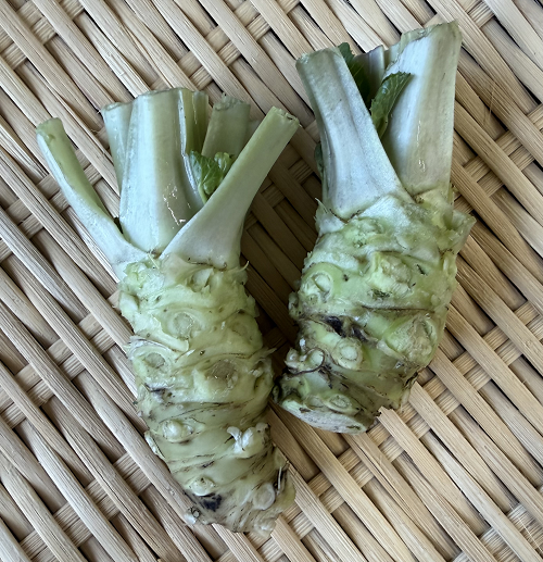 安曇野産生わさび（画像はイメージです）