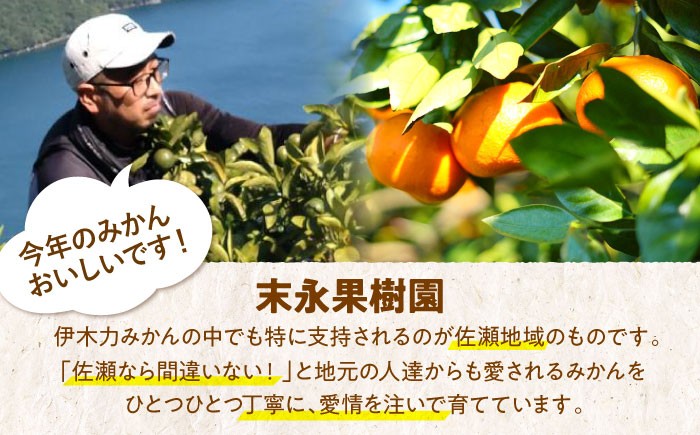 みかん ミカン 蜜柑 みかんジュース フルーツ 果物