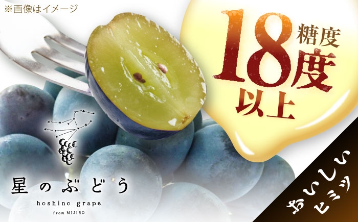 ぶどう ブドウ 葡萄 果物 ピオーネ ギフト 贈答用 大粒  おいしい 産地直送