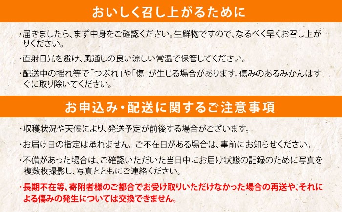 みかん ミカン 蜜柑 みかんジュース フルーツ 果物