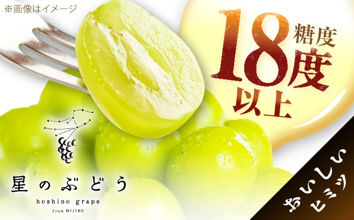 ぶどう 葡萄 果物 シャインマスカット クイーンニーナ  贈答用 食べ比べ 2種