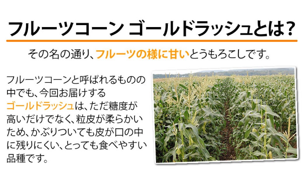 とうもろこし ゴールドラッシュ