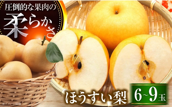梨 なし フルーツ 果物 くだもの 食品 人気 おすすめ 季節のフルーツ 豊水梨 梨 ナシ なし 豊水 ほうすい ほうすいなし