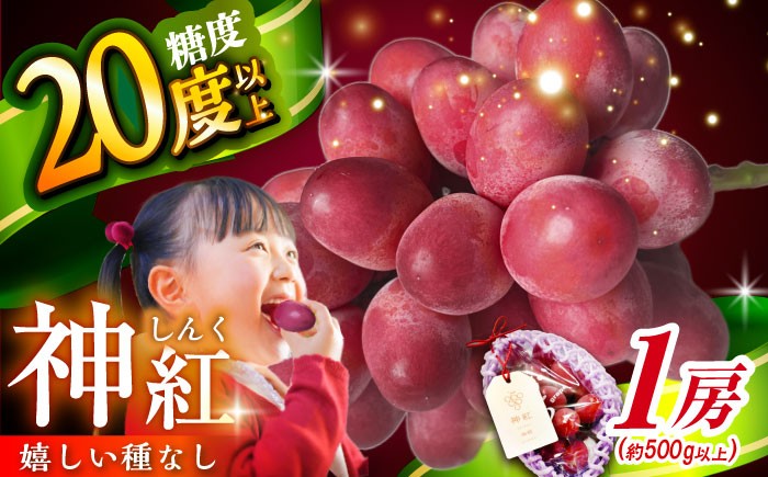 葡萄 ぶどう ブドウ 厳選 島根県産  フルーツ 人気 おすすめ 種なし 