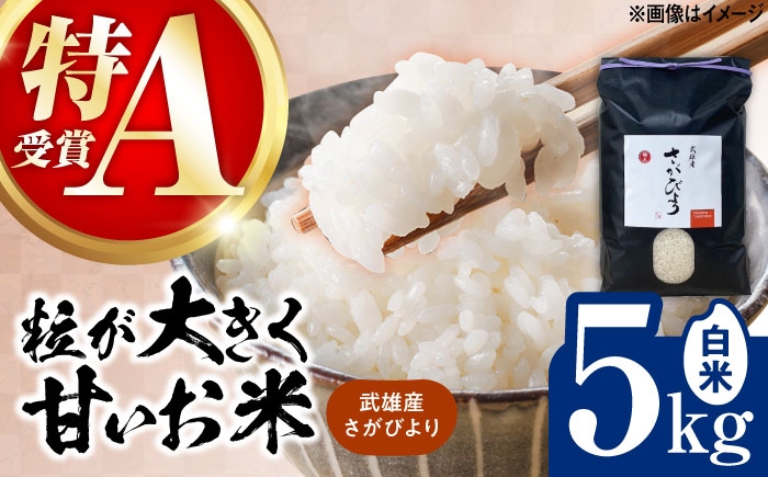 【16年連続特A評価】武雄市産 さがびより 5kg /株式会社 y's company（utsu和ya） [UDX016]