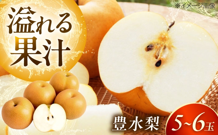 フルーツ 果物 くだもの 食品 人気 おすすめ 送料無料 梨 なし 豊水梨 ほうすいなし 梨 ナシ なし 豊水 ほうすい