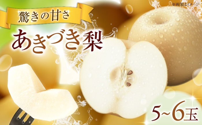 フルーツ 果物 くだもの 食品 人気 おすすめ 送料無料 梨 なし あきづき梨 季節のフルーツ 梨 ナシ なし あきづき 甘い