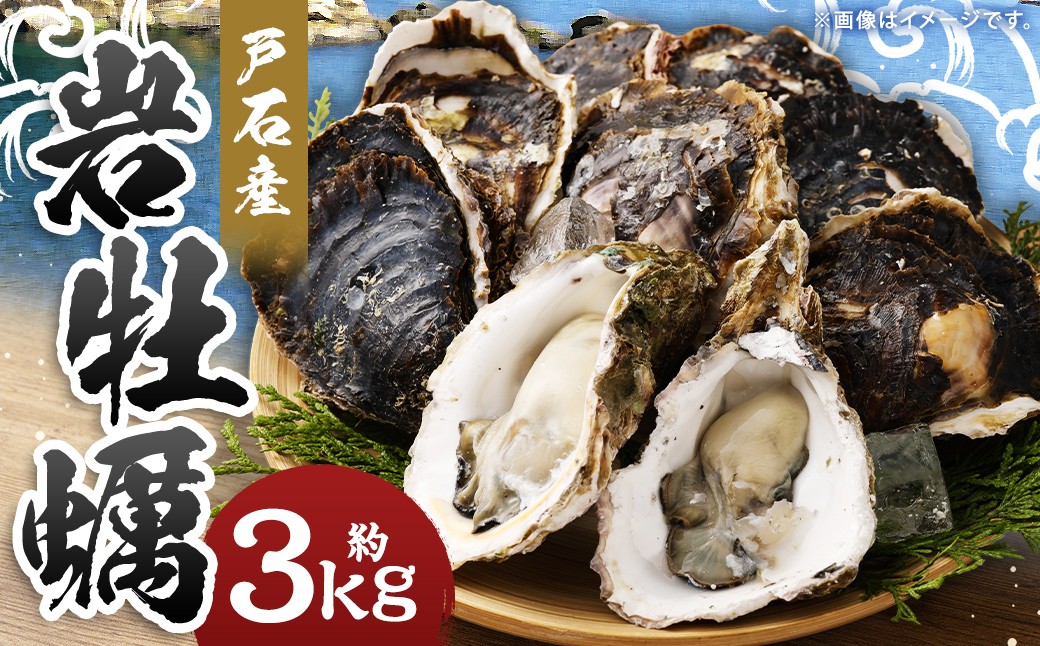 【指定日時必須】戸石産 岩牡蠣 計約3kg（生食用／カキナイフ付き）