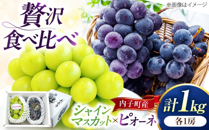 シャインマスカット 大人気 愛媛県 美味しい 人気 皮ごと 葡萄 ブドウ 愛媛県産 内子町産 新鮮 旬 フルーツ 果物