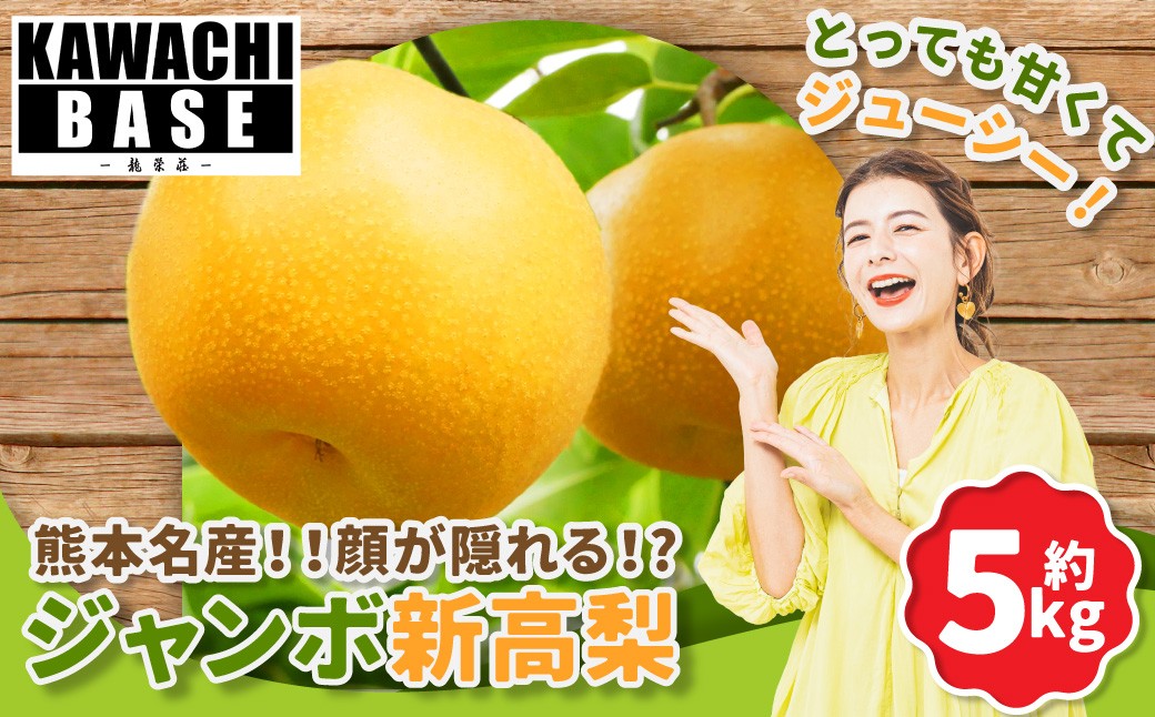 熊本名産 ジャンボ新高梨