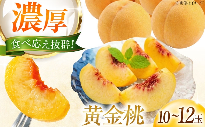 桃 もも 黄桃 フルーツ 果物 くだもの 季節のフルーツ 桃 モモ もも 黄金桃 おうごんとう 黄桃 甘い ジューシー 旬 夏