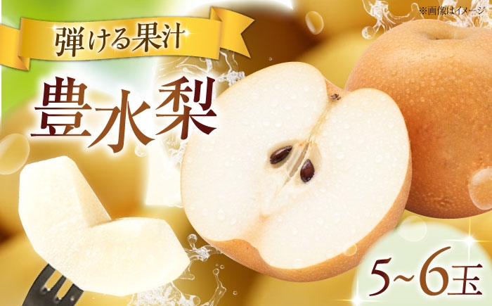 フルーツ 果物 くだもの 食品 人気 おすすめ 送料無料 梨 なし 豊水梨 季節のフルーツ 梨 ナシ なし 豊水 ほうすい