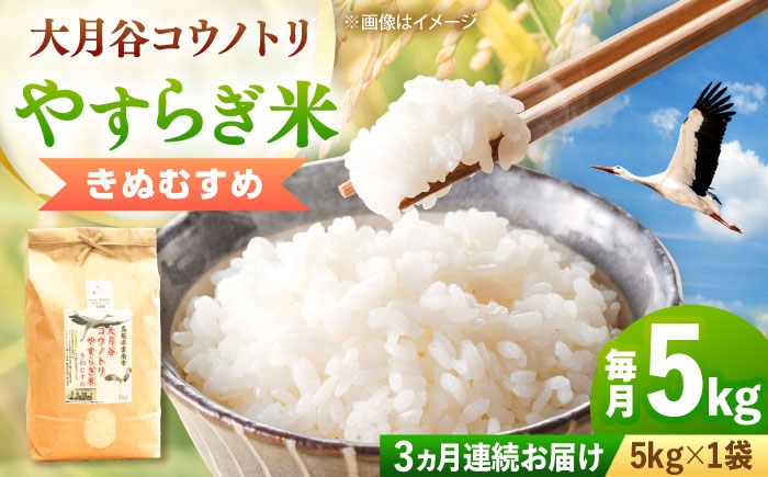 白米 こめ コウノトリやすらぎ米 定期便 ごはん お弁当 国産 おいしい