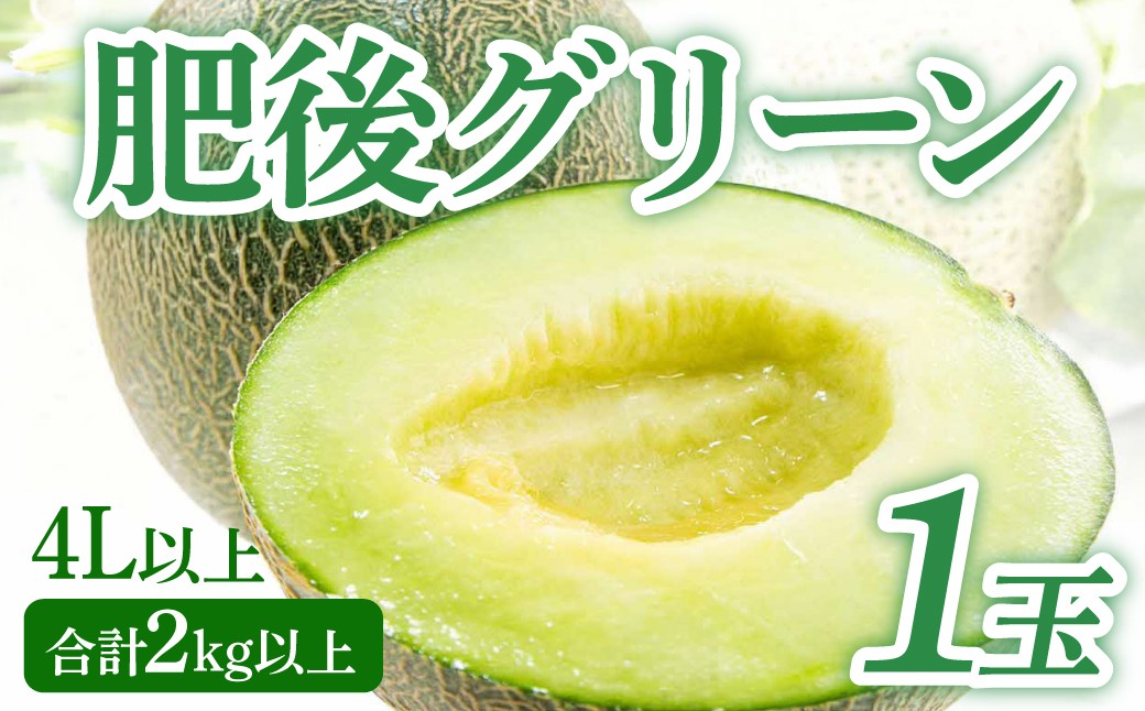 肥後グリーンメロン 4L以上 1玉 合計2kg以上