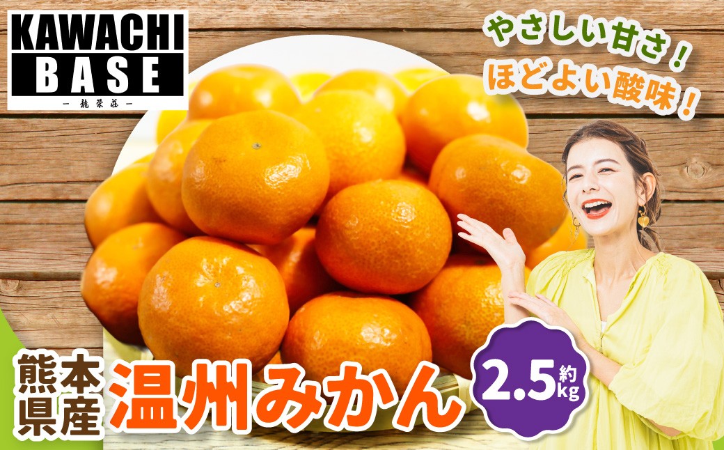 熊本県産温州みかん