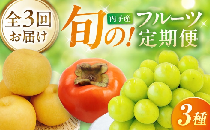 かき カキ ブドウ 葡萄 梨 なし ナシ 和梨 果物 フルーツ 国産 産地直送梨 ナシ なし 定期便 かき カキ 柿 ぶどう
