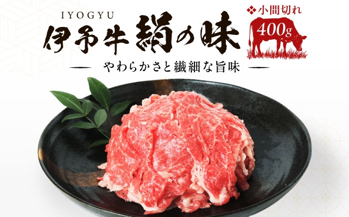 肉 お肉 にく 食品 愛媛県産 ギフト 牛肉 黒毛和牛 和牛 伊予牛 小間切れ こま切れ 愛媛 国産 お取り寄せ 特産品