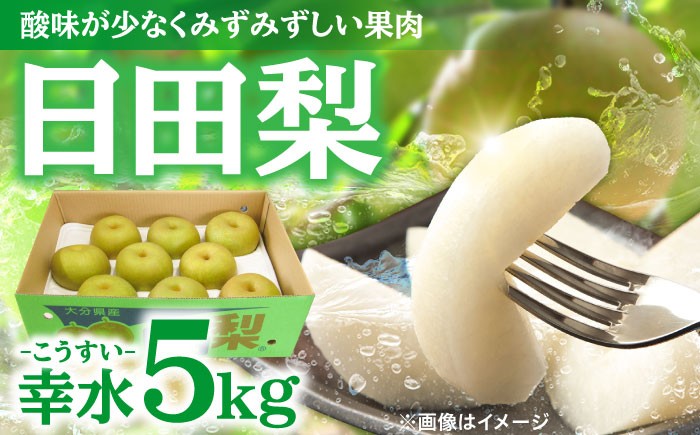 梨 なし 幸水 こうすい 果物 くだもの フルーツ ふるーつ 旬