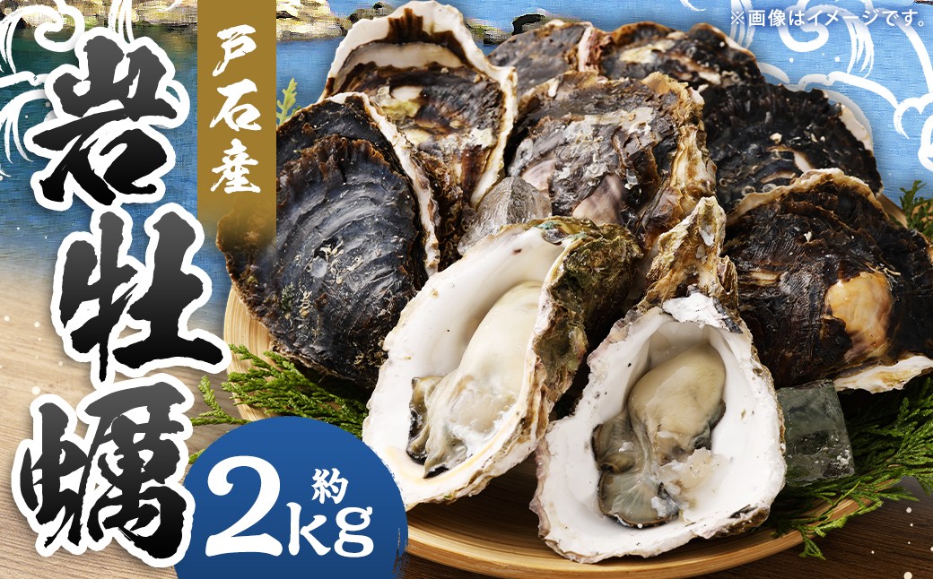 【指定日時必須】戸石産 岩牡蠣 計約2kg（生食用／カキナイフ付き）