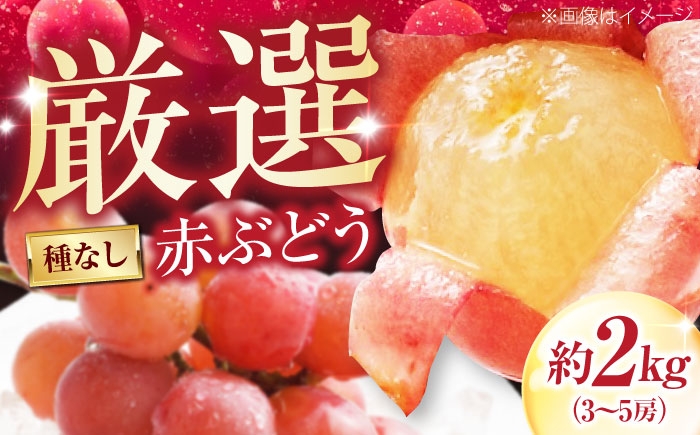 赤ブドウ ぶどう 葡萄 フルーツ 果実 お取り寄せ おすすめ 甘い 種なし 果物 ぶどう ブドウ 葡萄 赤ぶどう コトピー