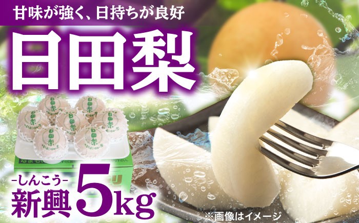 なし 梨 日田 和梨 果物 くだもの 果汁 フルーツ デザート 旬 新興 しんこう