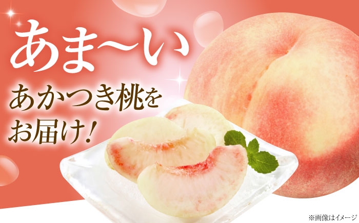 フルーツ 果物 くだもの 食品 人気 おすすめ 送料無料 桃 もも あかつき桃 モモ 季節のフルーツ 桃 モモ もも あかつき